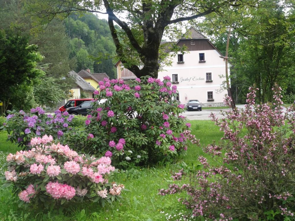 Gasthof Eschau Palfau Exterior foto